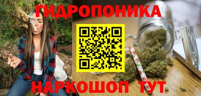 индика Мариинск