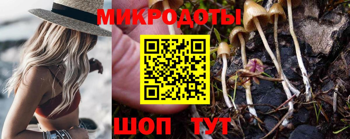 Галлюциногенные грибы Cubensis Чехов